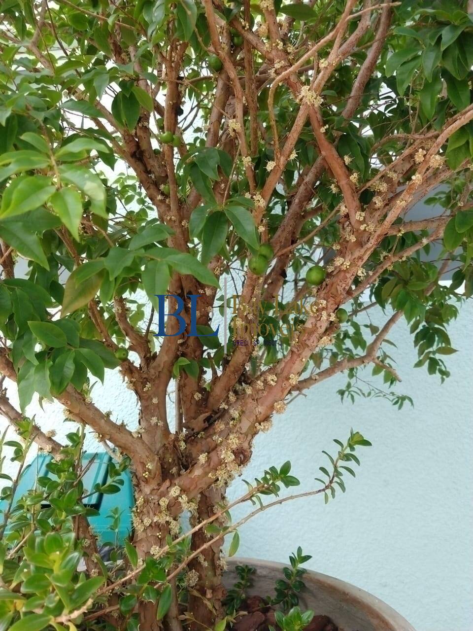 Sala-Conjunto, 7 m² - Foto 31