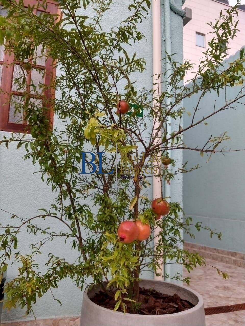 Sala-Conjunto, 7 m² - Foto 30